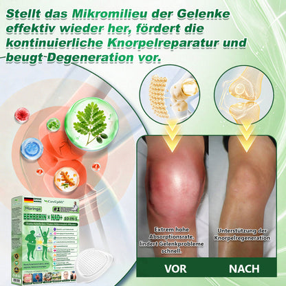 🧑‍⚕️ 𝐎𝐟𝐟𝐢𝐜𝐢𝐚𝐥𝐞𝐫 𝐃𝐞𝐮𝐭𝐬𝐜𝐡𝐥𝐚𝐧𝐝-𝐒𝐡𝐨𝐩 | 🇩🇪 𝐂𝐚𝐫𝐞𝐔𝐩𝐥𝐢𝐟𝐭® Moringa · Berberin × NAD+ 𝟏𝟎-𝐢𝐧-𝟏 𝐀𝐝𝐯𝐚𝐧𝐜𝐞𝐝 𝐍𝐚𝐧𝐨-𝐌𝐢𝐤𝐫𝐨𝐧𝐚𝐝𝐞𝐥-𝐏𝐚𝐭𝐜𝐡 — 𝐄𝐢𝐧𝐦𝐚𝐥 𝐭ä𝐠𝐥𝐢𝐜𝐡, 𝐬𝐢𝐜𝐡𝐭𝐛𝐚𝐫𝐞 𝐄𝐫𝐠𝐞𝐛𝐧𝐢𝐬𝐬𝐞 𝐢𝐧 𝟕 𝐓𝐚𝐠𝐞𝐧